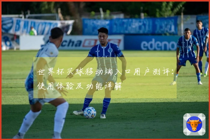 世界杯买球移动端入口用户测评:使用体验及功能详解