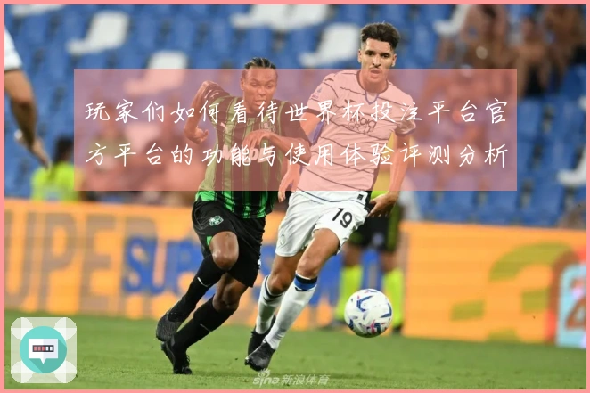 玩家们如何看待世界杯投注平台官方平台的功能与使用体验评测分析