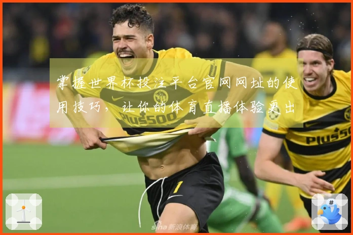 掌握世界杯投注平台官网网址的使用技巧，让你的体育直播体验更出色