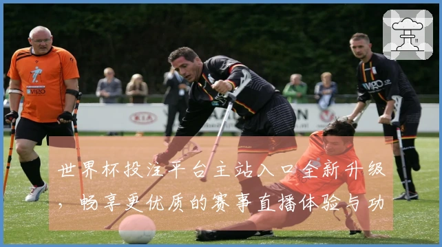 世界杯投注平台主站入口全新升级,畅享更优质的赛事直播体验与功能介绍