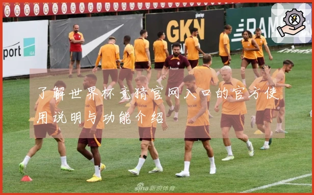 了解世界杯竞猜官网入口的官方使用说明与功能介绍