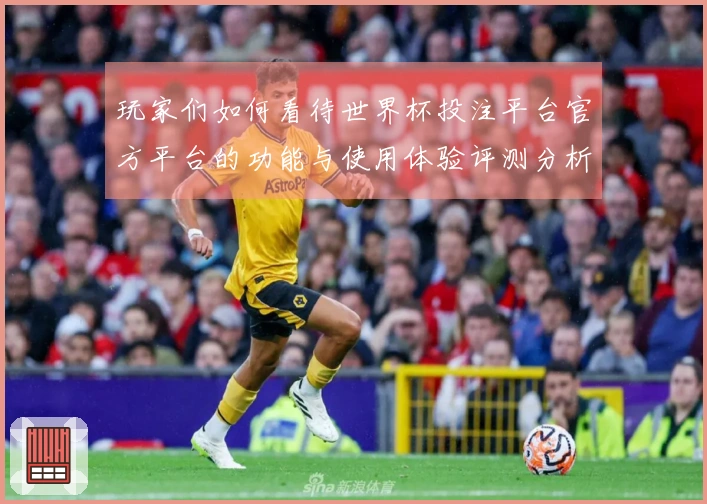 玩家们如何看待世界杯投注平台官方平台的功能与使用体验评测分析