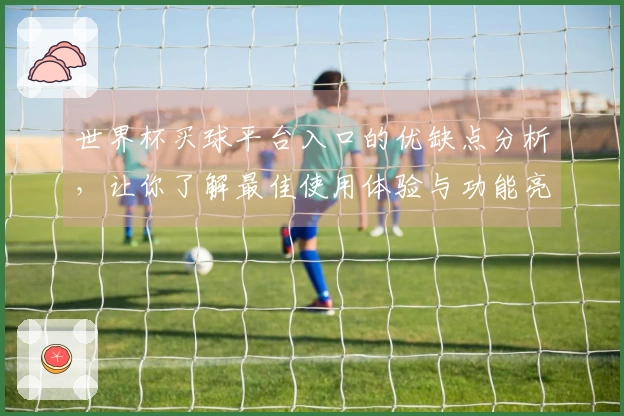 世界杯买球平台入口的优缺点分析，让你了解最佳使用体验与功能亮点