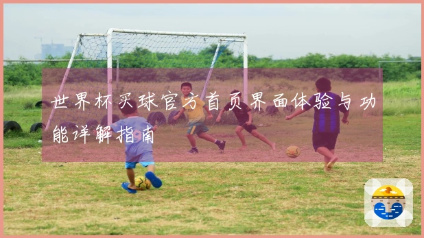 世界杯买球官方首页界面体验与功能详解指南